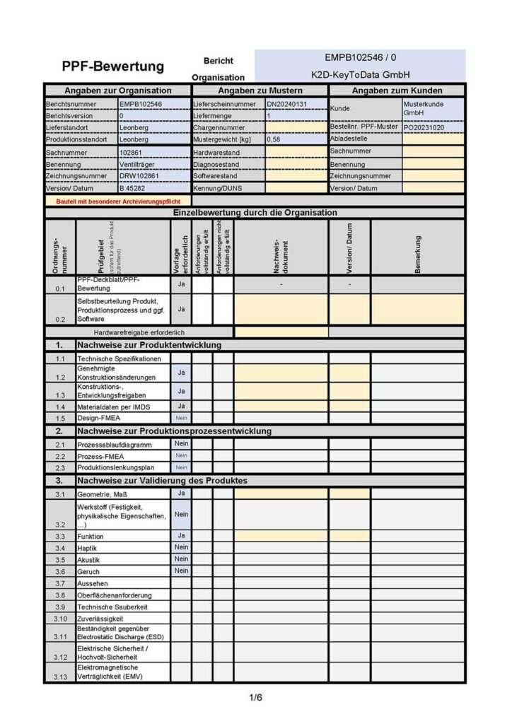 VDA EMPB Bericht: PPF Bewertung Seite 1, Punkt 1 bis 3.13